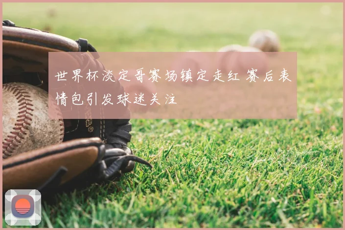 世界杯淡定哥赛场镇定走红 赛后表情包引发球迷关注