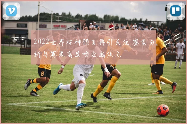 2022世界杯神预言再引关注 赛前分析与赛果高度吻合成焦点