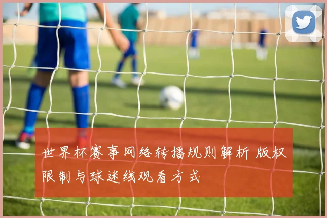 世界杯赛事网络转播规则解析 版权限制与球迷线观看方式