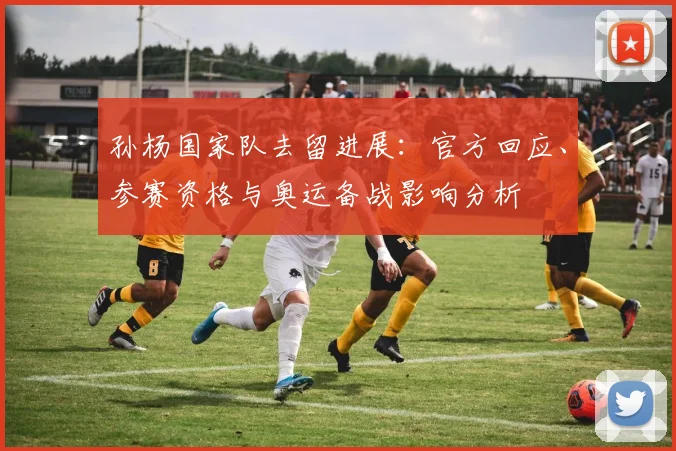 孙杨国家队去留进展：官方回应、参赛资格与奥运备战影响分析