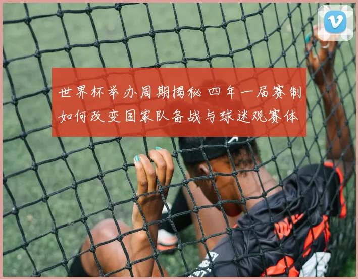 世界杯举办周期揭秘 四年一届赛制如何改变国家队备战与球迷观赛体验