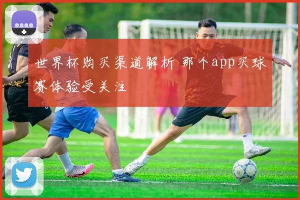 世界杯购买渠道解析 那个app买球赛体验受关注