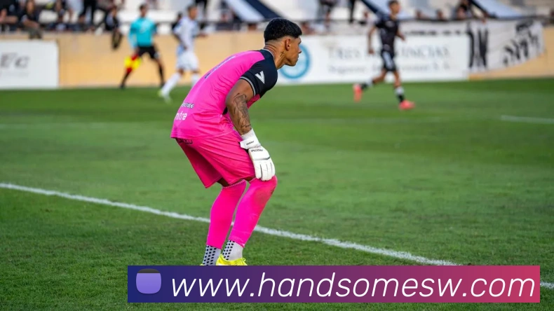 华体网首页官网平台生态图