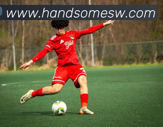 华体网首页官网APP 封面图