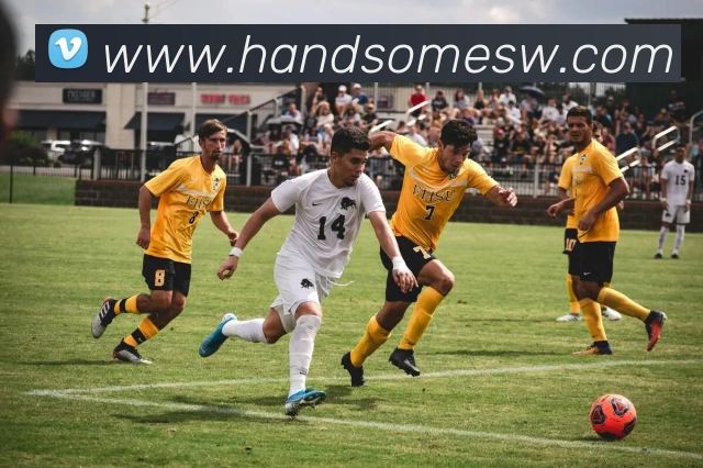 数据防护可视化